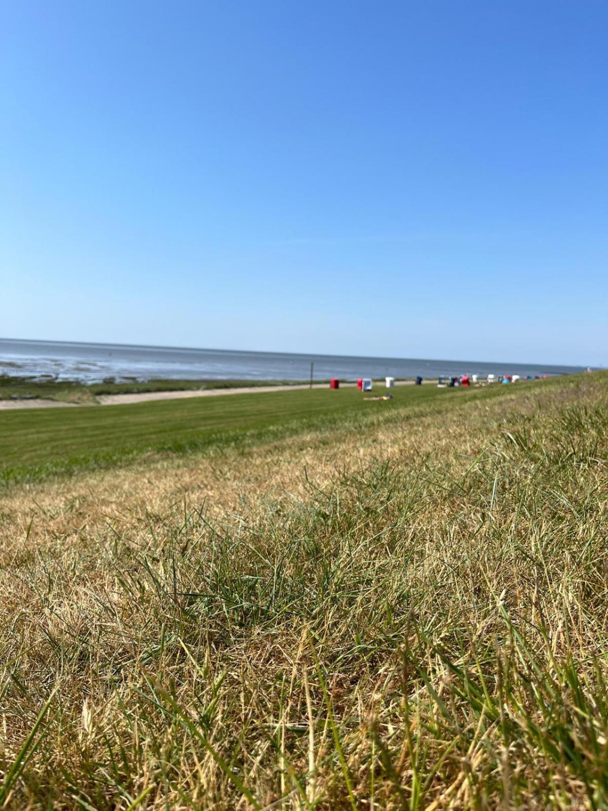 Frieda - Ferienwohnung Mit Deichblick Friedrichskoog Exterior foto